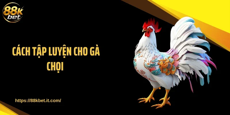 Cách Tập Luyện Cho Gà Chọi Giữ Lợi Thế Khi Vào Sới