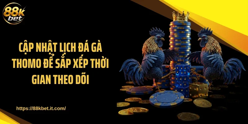Cập nhật lịch đá gà thomo để sắp xếp thời gian theo dõi