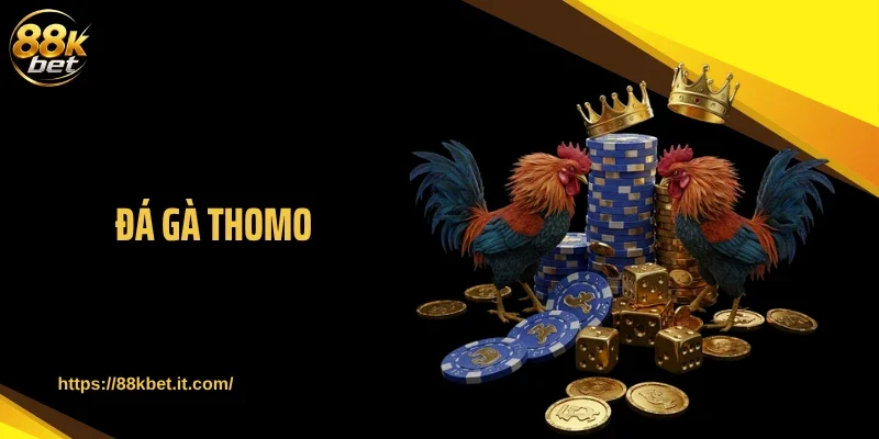 Đá Gà Thomo Bùng Nổ Trận Chiến Nghẹt Thở Mỗi Ngày