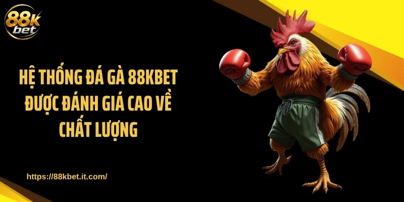 Hệ thống đá gà 88KBET được đánh giá cao về chất lượng