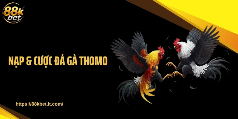 Kinh Nghiệm Nạp & Cược Đá Gà Thomo 88KBET Dễ Thắng Lớn 