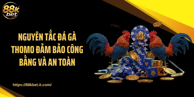 Nguyên tắc đá gà thomo đảm bảo công bằng và an toàn