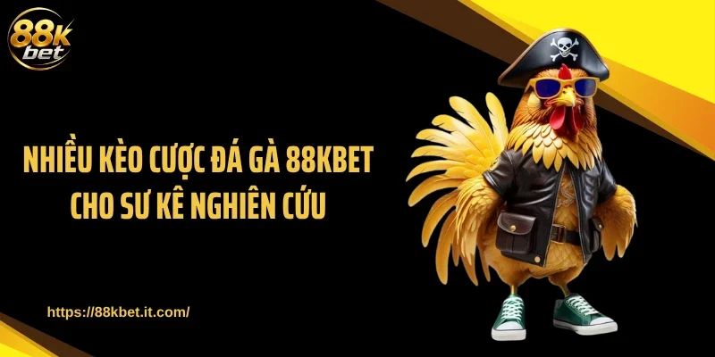 Nhiều kèo cược đá gà 88KBET cho sư kê nghiên cứu