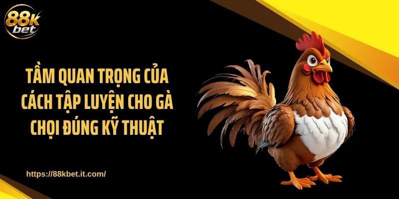 Tầm quan trọng của cách tập luyện cho gà chọi đúng kỹ thuật