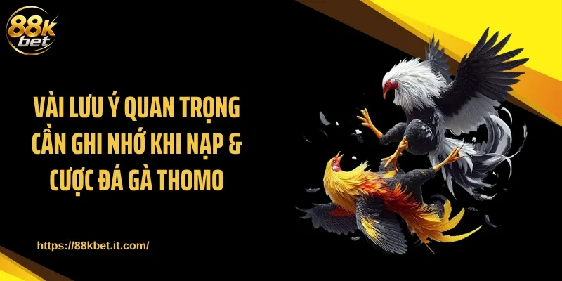 Vài lưu ý quan trọng cần ghi nhớ khi nạp & cược đá gà Thomo
